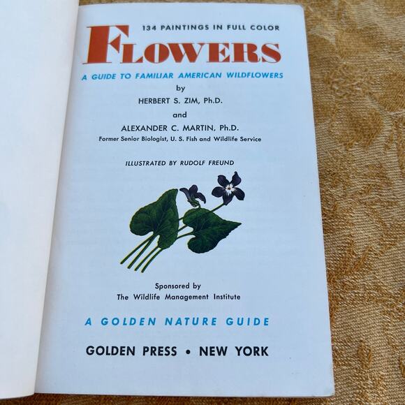 Flowers a Guide to Familiar American Wildflowers Pocketbook: 1950 - Picture 2 of 8